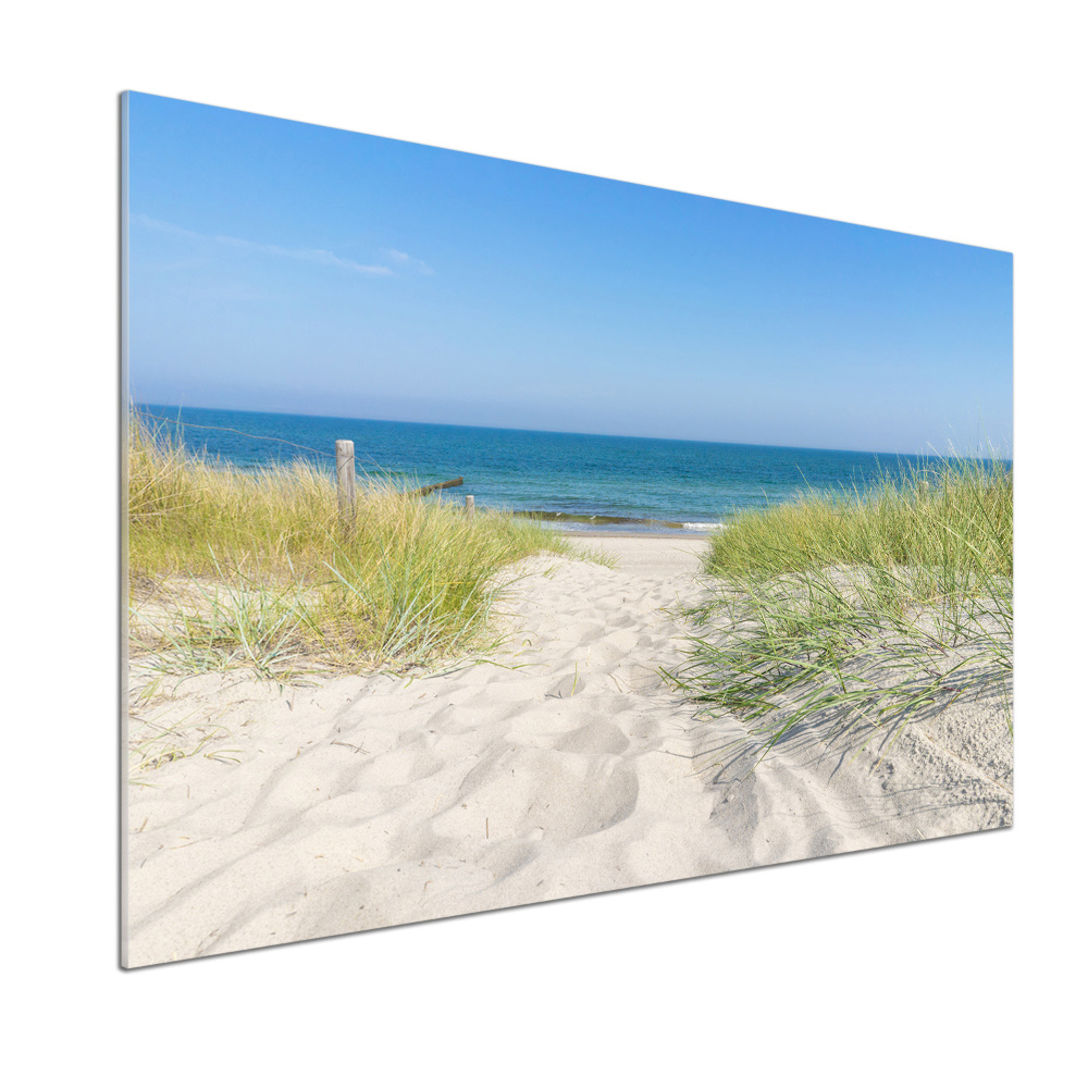 Cooker splashback Coastal dunes