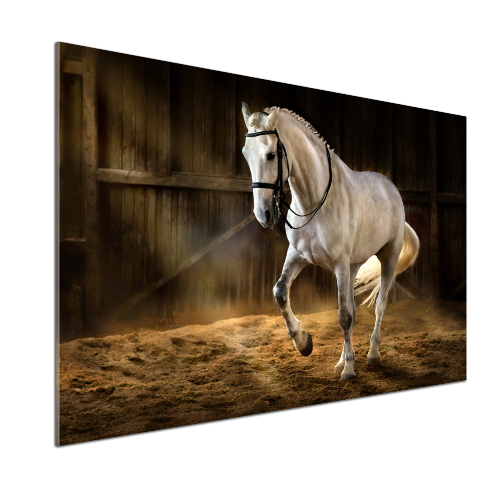 Cooker splashback White horse in the stable