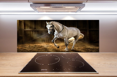 Cooker splashback White horse in the stable