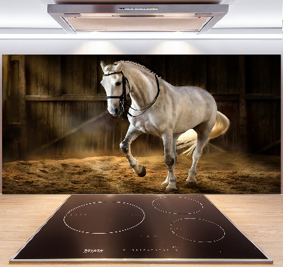 Cooker splashback White horse in the stable