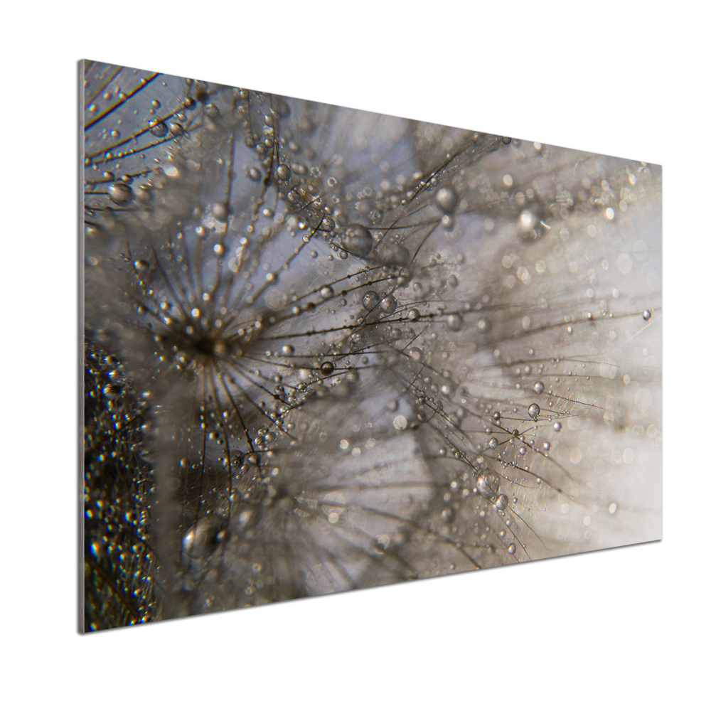 Kitchen splashback Dandelion seeds