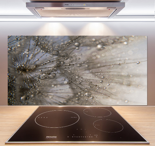 Kitchen splashback Dandelion seeds