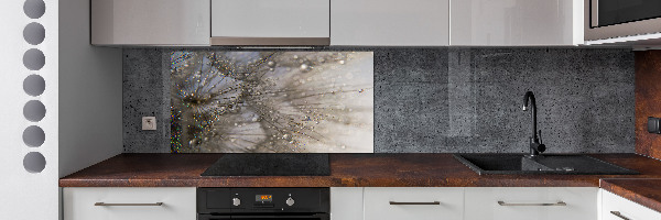 Kitchen splashback Dandelion seeds