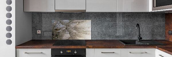 Kitchen splashback Dandelion seeds