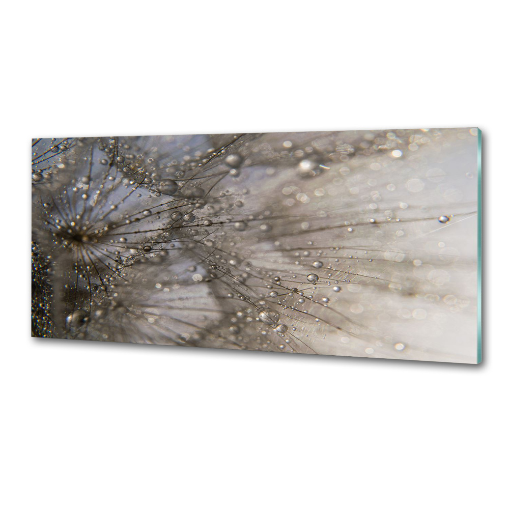 Kitchen splashback Dandelion seeds