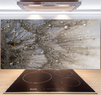 Kitchen splashback Dandelion seeds