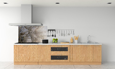 Kitchen splashback Dandelion seeds