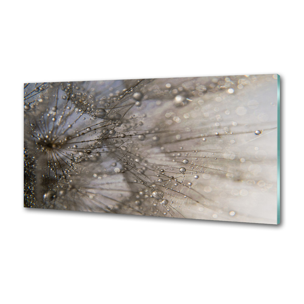 Kitchen splashback Dandelion seeds