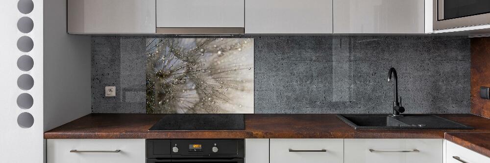 Kitchen splashback Dandelion seeds