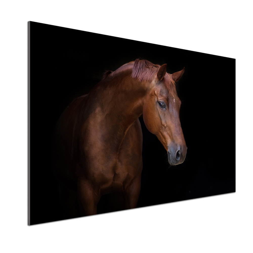 Cooker splashback Brown horse