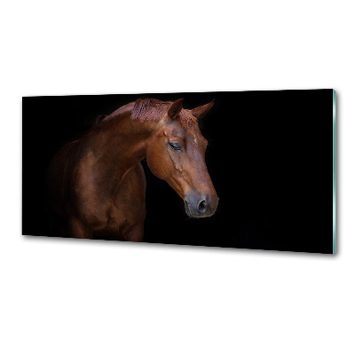 Cooker splashback Brown horse