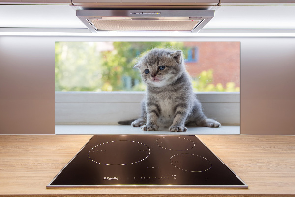 Cooker splashback Little Cat by the window