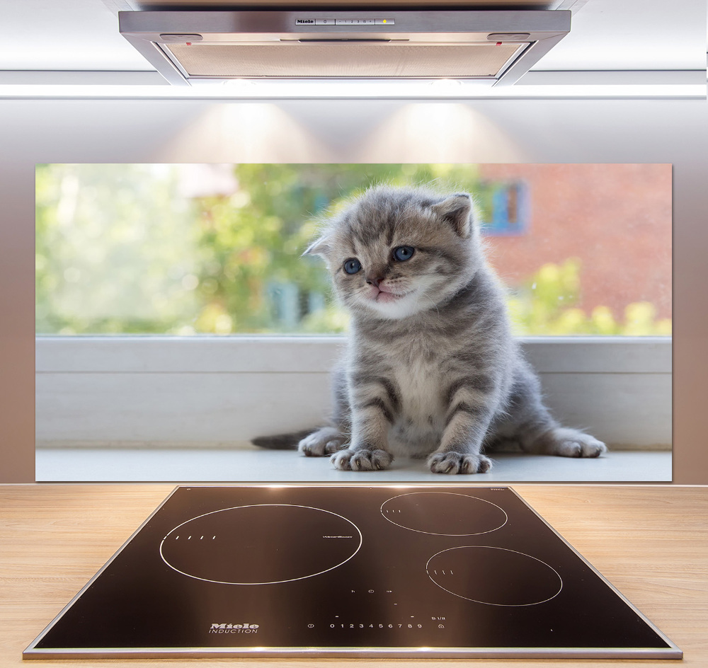 Cooker splashback Little Cat by the window