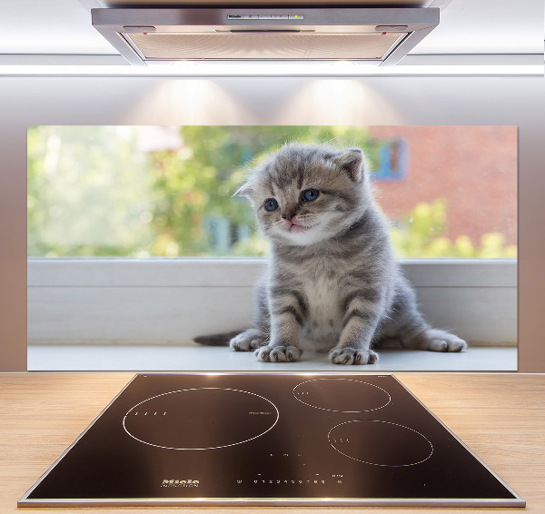 Cooker splashback Little Cat by the window