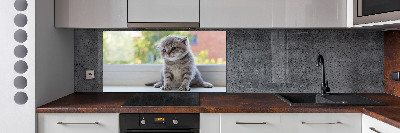 Cooker splashback Little Cat by the window