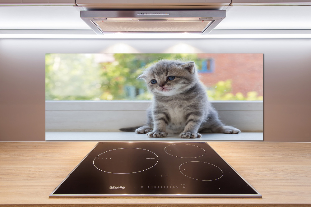 Cooker splashback Little Cat by the window