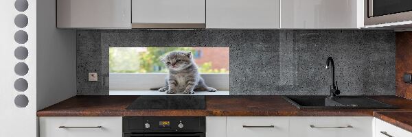 Cooker splashback Little Cat by the window