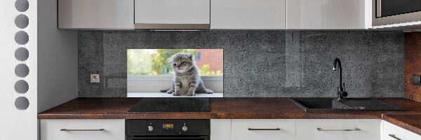 Cooker splashback Little Cat by the window