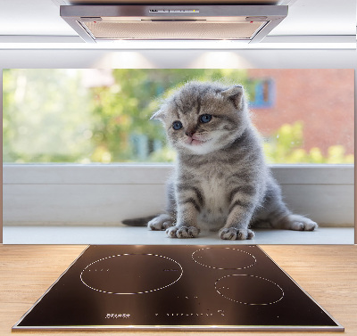 Cooker splashback Little Cat by the window