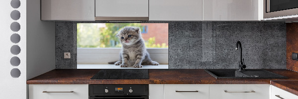 Cooker splashback Little Cat by the window