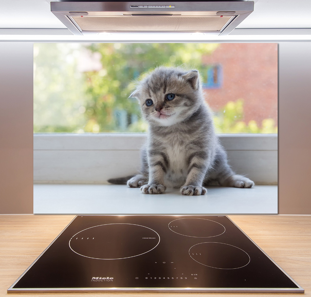 Cooker splashback Little Cat by the window