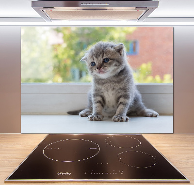 Cooker splashback Little Cat by the window