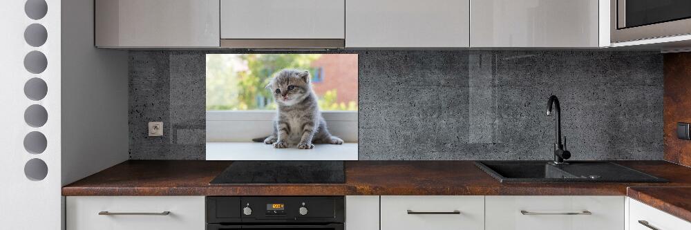 Cooker splashback Little Cat by the window