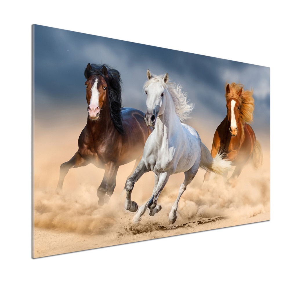 Cooker splashback Horses in the desert