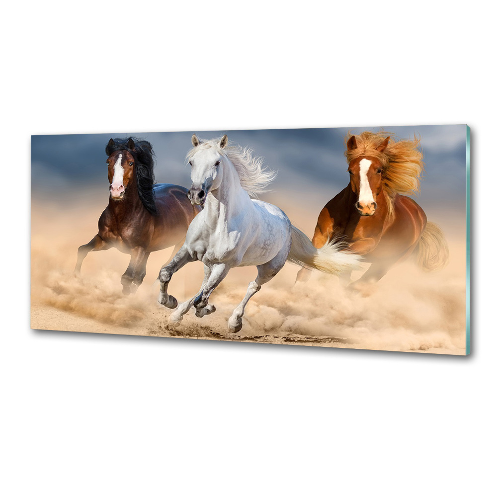 Cooker splashback Horses in the desert