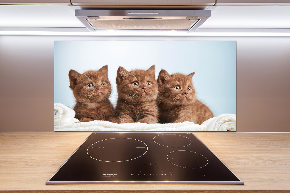 Kitchen splashback Chatter cats