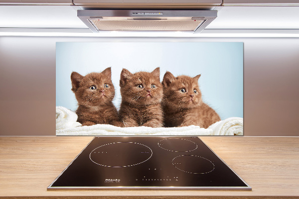 Kitchen splashback Chatter cats