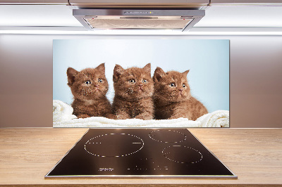 Kitchen splashback Chatter cats