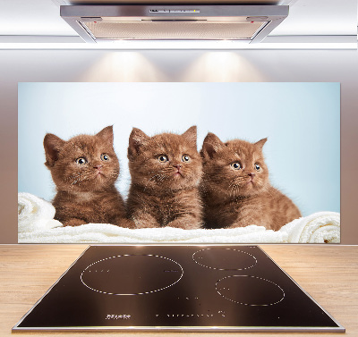 Kitchen splashback Chatter cats