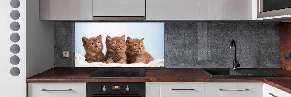 Kitchen splashback Chatter cats