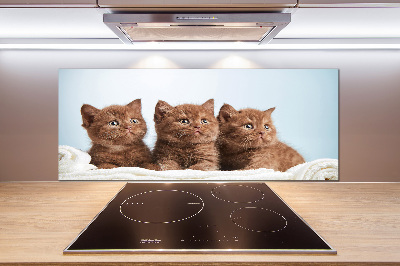 Kitchen splashback Chatter cats