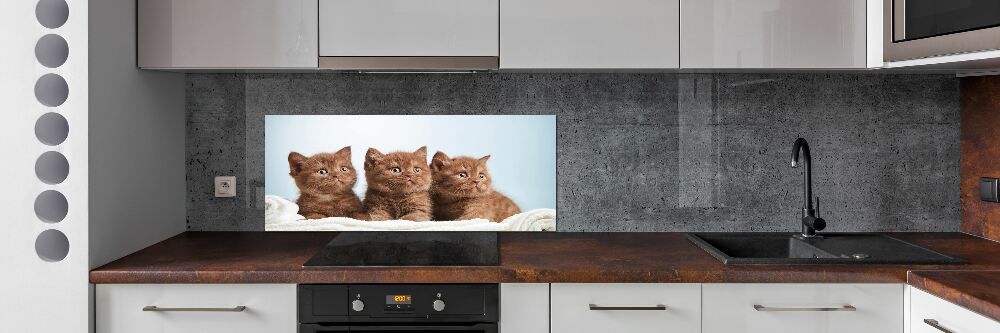 Kitchen splashback Chatter cats