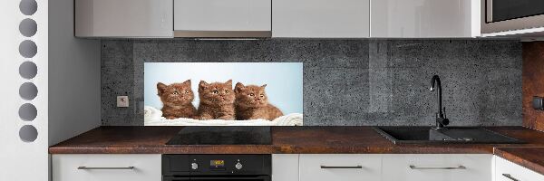 Kitchen splashback Chatter cats