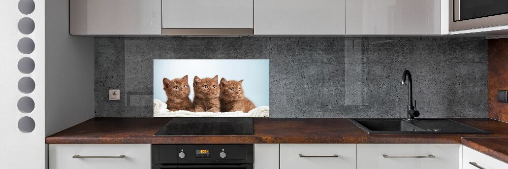 Kitchen splashback Chatter cats