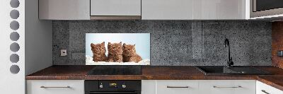 Kitchen splashback Chatter cats