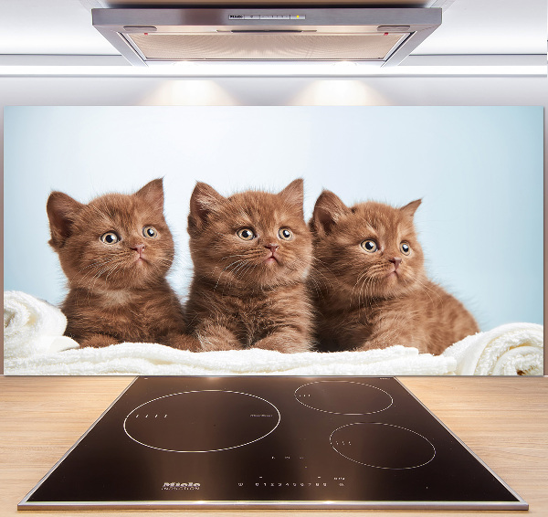 Kitchen splashback Chatter cats