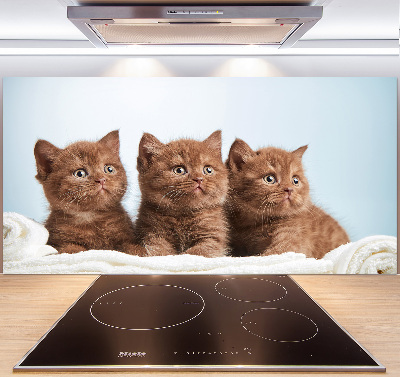 Kitchen splashback Chatter cats