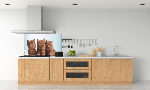 Kitchen splashback Chatter cats