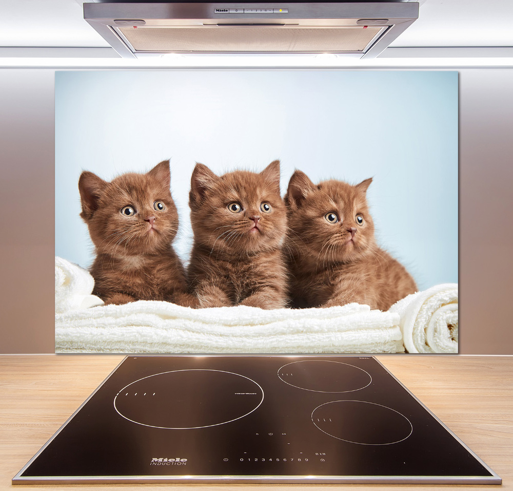 Kitchen splashback Chatter cats