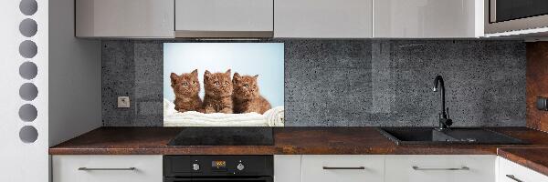 Kitchen splashback Chatter cats