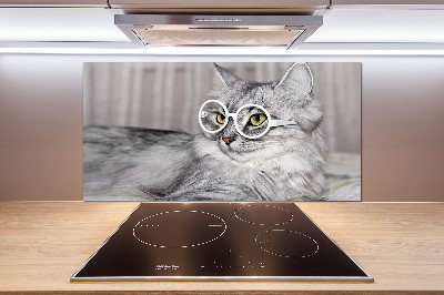 Kitchen splashback Cat with glasses