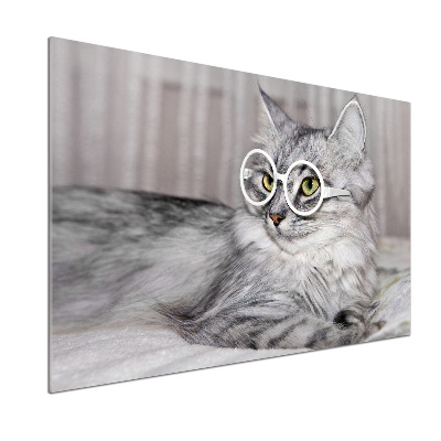 Kitchen splashback Cat with glasses