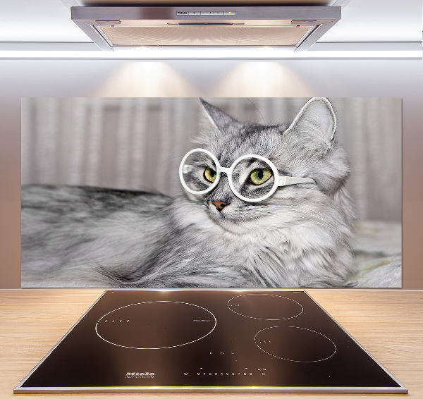 Kitchen splashback Cat with glasses