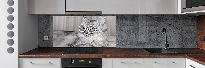 Kitchen splashback Cat with glasses