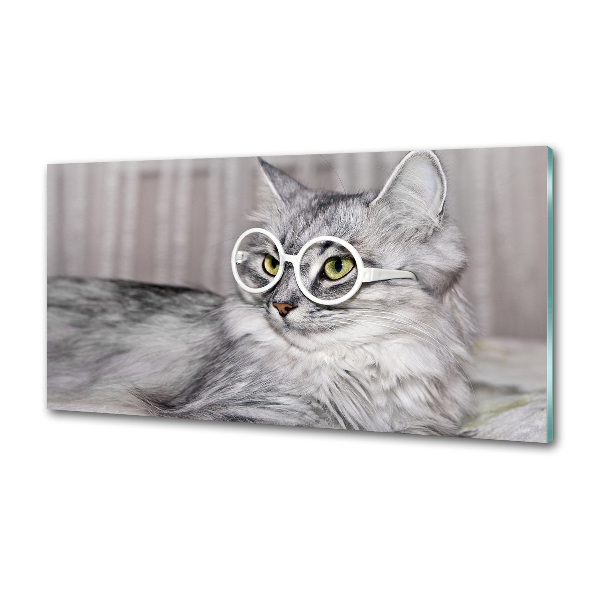 Kitchen splashback Cat with glasses