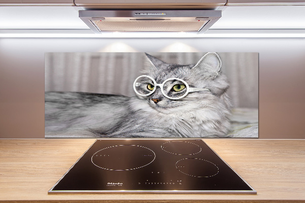 Kitchen splashback Cat with glasses